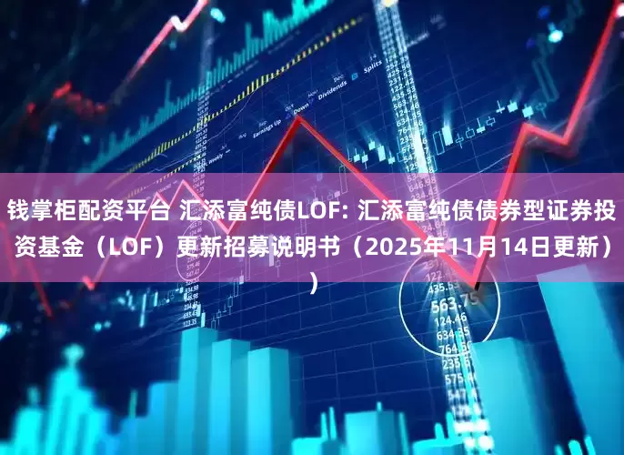 钱掌柜配资平台 汇添富纯债LOF: 汇添富纯债债券型证券投资基金(LOF)更新招募说明书(2025年11月14日更新)